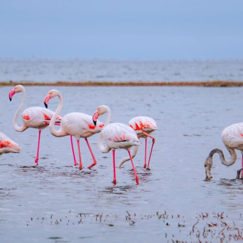 3-Day Tarangire, Ngorongoro & Manyara Safari